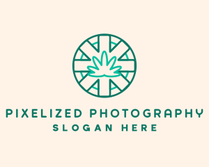 Medicinal Cannabis Leaf logo design