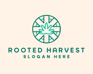 Medicinal Cannabis Leaf logo design