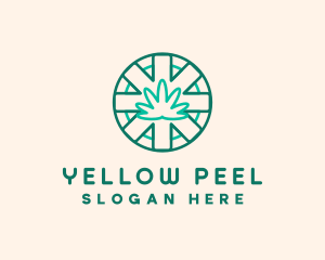 Medicinal Cannabis Leaf logo design