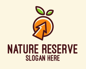 Natural Orange Select  logo design