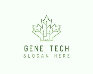 Maple Leaf Bioengineering  logo design