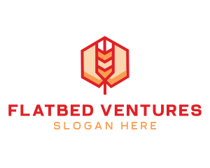 Red Wheat Hexagon logo design