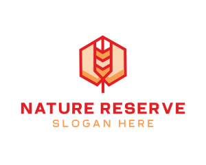 Red Wheat Hexagon logo design