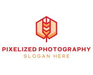 Red Wheat Hexagon logo design