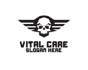 Skull Wings Aviation logo