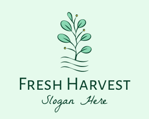 Plant Seedling Garden logo design