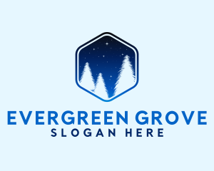 Winter Pine Tree logo design