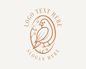Bird Branch Aviary logo design