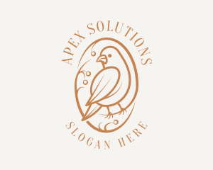 Bird Branch Aviary logo design