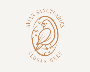 Bird Branch Aviary logo