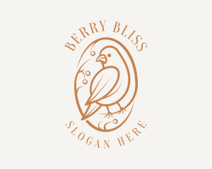 Bird Branch Aviary logo design