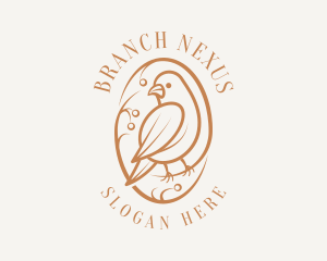 Bird Branch Aviary logo