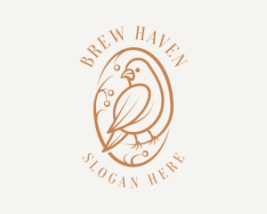 Bird Branch Aviary logo design