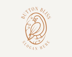 Bird Branch Aviary logo design