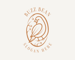 Bird Branch Aviary logo design