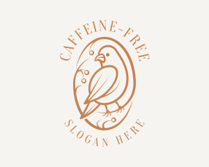 Bird Branch Aviary logo design