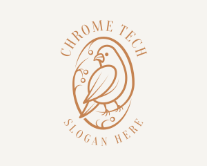 Bird Branch Aviary logo design