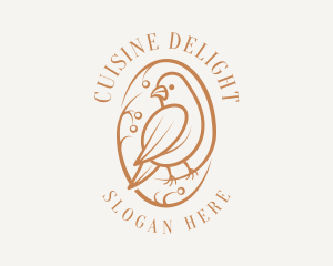 Bird Branch Aviary logo design