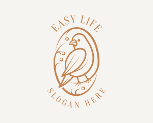 Bird Branch Aviary logo design