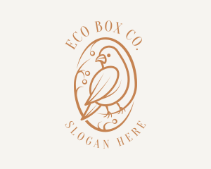 Bird Branch Aviary logo design