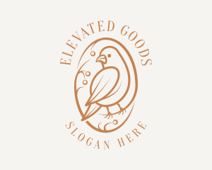 Bird Branch Aviary logo design