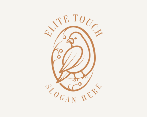 Bird Branch Aviary logo design