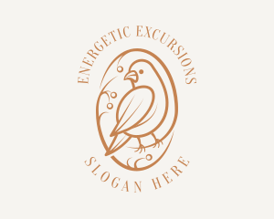 Bird Branch Aviary logo design