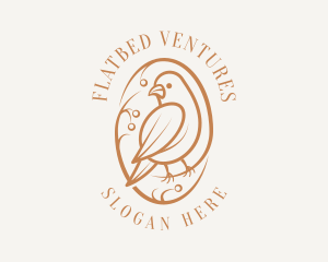 Bird Branch Aviary logo design