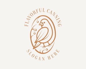 Bird Branch Aviary logo design