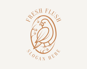 Bird Branch Aviary logo design