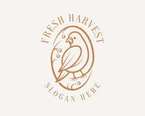 Bird Branch Aviary logo design