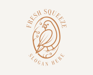 Bird Branch Aviary logo design