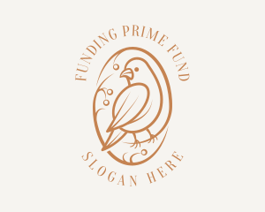 Bird Branch Aviary logo design