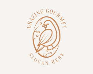 Bird Branch Aviary logo design