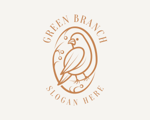 Bird Branch Aviary logo design