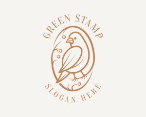 Bird Branch Aviary logo design