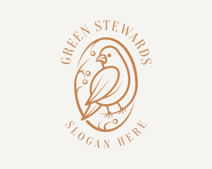 Bird Branch Aviary logo design