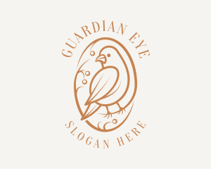 Bird Branch Aviary logo design