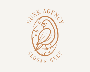 Bird Branch Aviary logo design