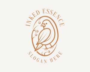 Bird Branch Aviary logo design