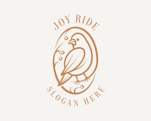 Bird Branch Aviary logo design