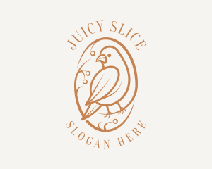 Bird Branch Aviary logo design