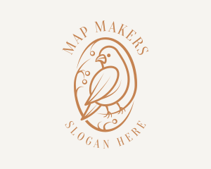 Bird Branch Aviary logo design