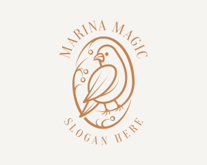 Bird Branch Aviary logo design