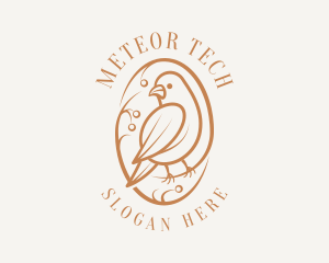 Bird Branch Aviary logo design