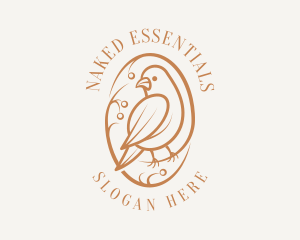 Bird Branch Aviary logo design