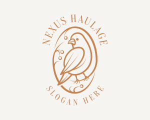 Bird Branch Aviary logo design