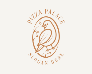 Bird Branch Aviary logo design