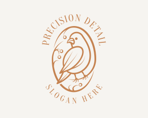 Bird Branch Aviary logo design