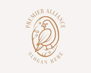 Bird Branch Aviary logo design